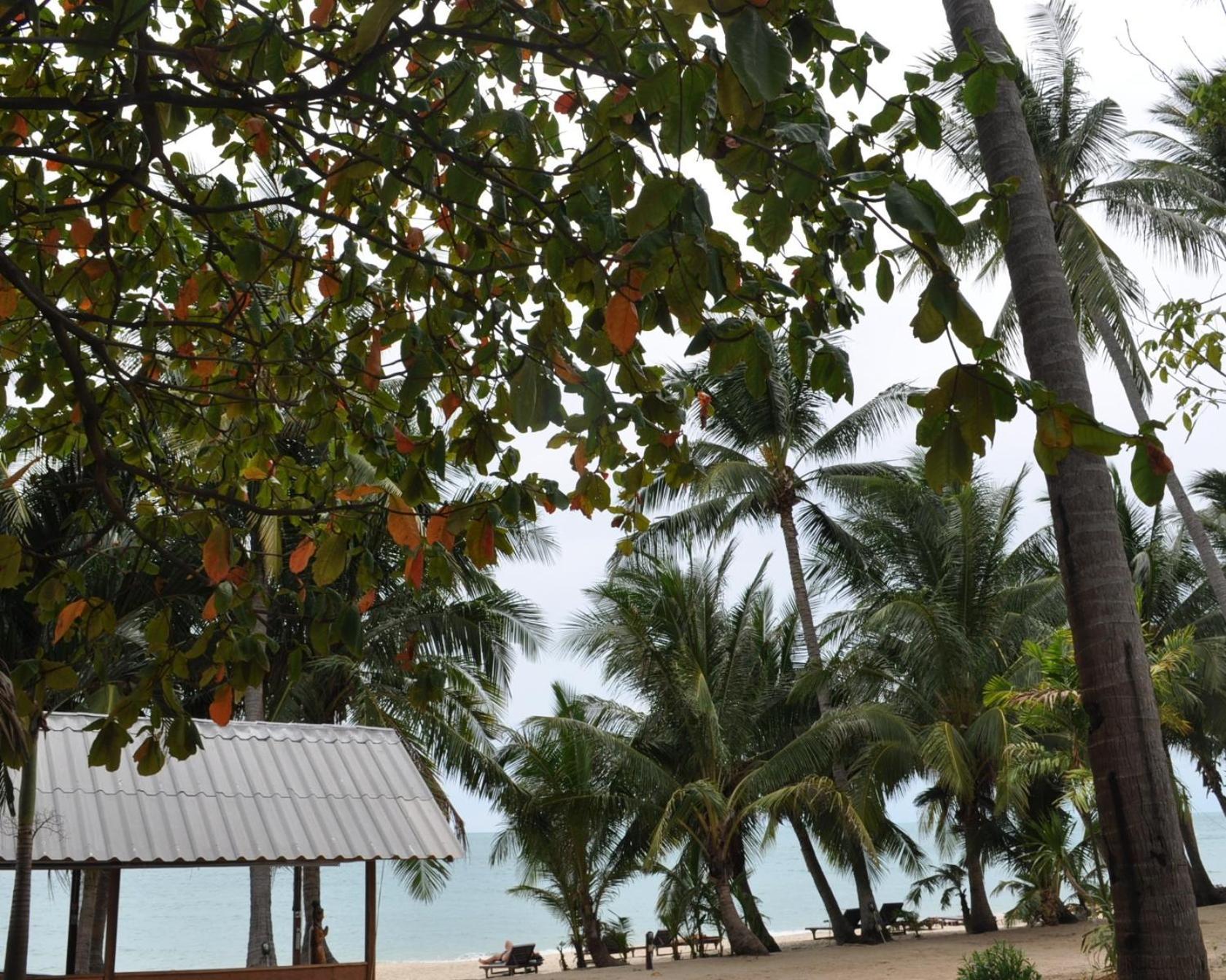 Astrococo Beach Resort By Coconut Beach Lamai Beach  Exterior foto